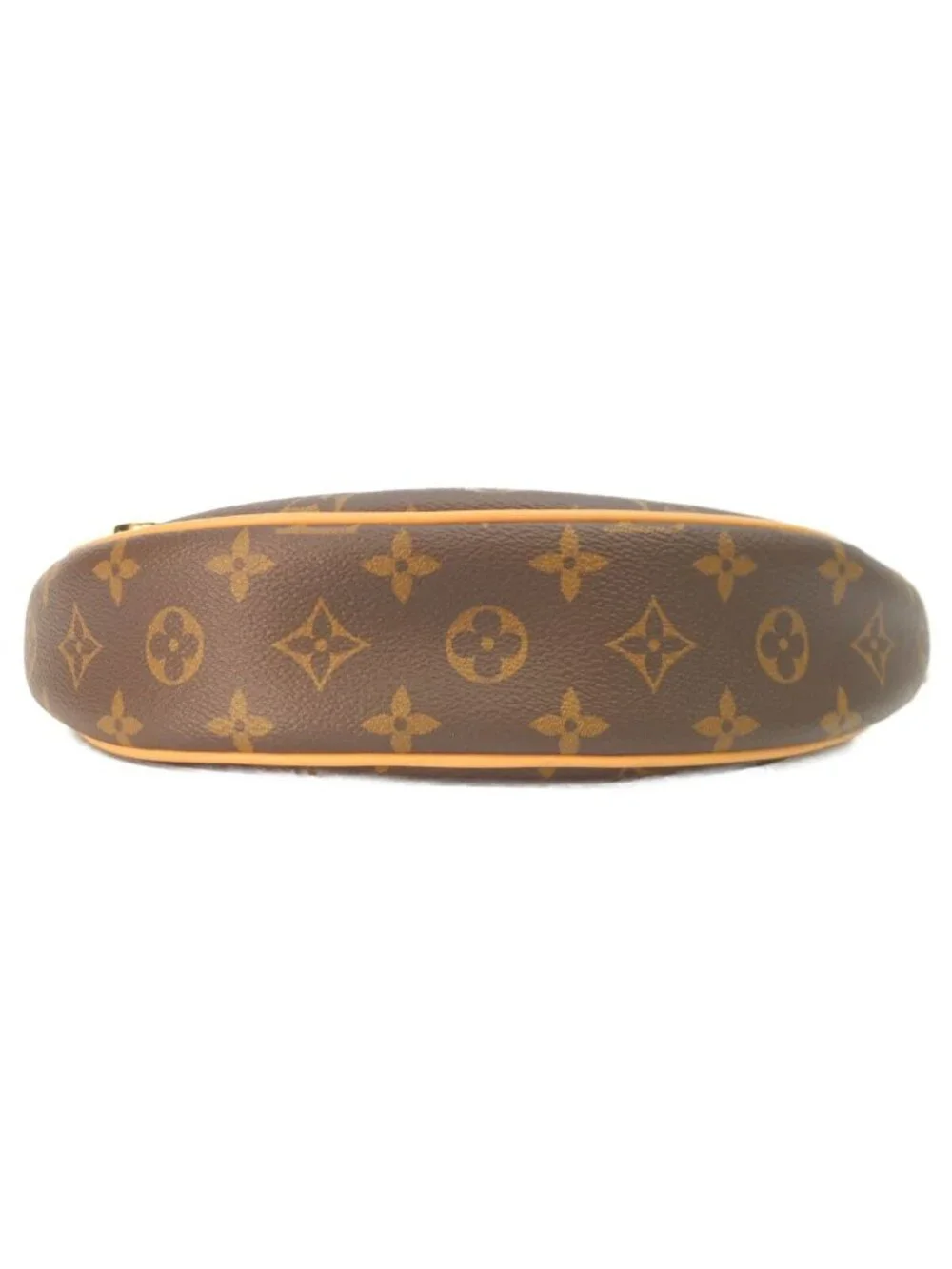 Louis Vuitton Monogram Loop Shoulder Bag